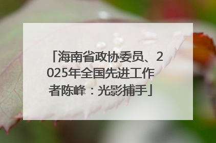 海南省政协委员、2025年全国先进工作者陈峰：光影捕手