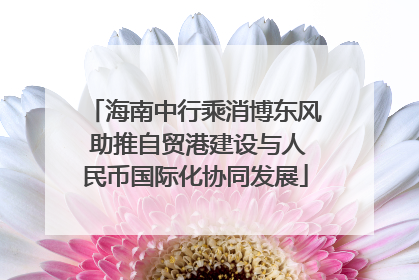 海南中行乘消博东风 助推自贸港建设与人民币国际化协同发展
