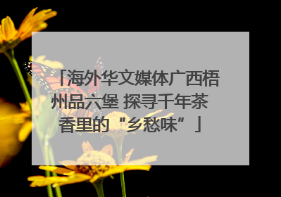 海外华文媒体广西梧州品六堡 探寻千年茶香里的“乡愁味”