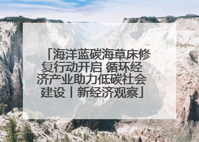 海洋蓝碳海草床修复行动开启 循环经济产业助力低碳社会建设丨新经济观察