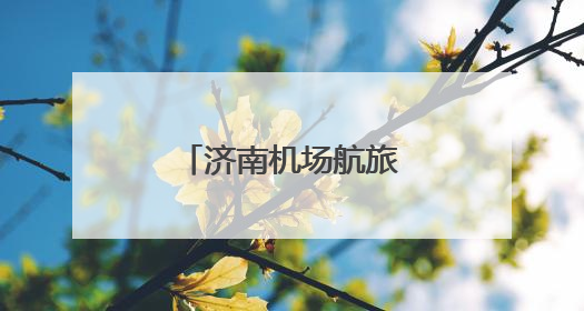 济南机场航旅融合助力外籍游客畅游泉城