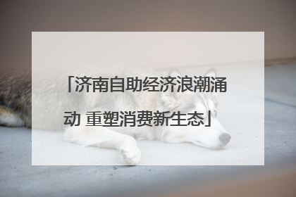 济南自助经济浪潮涌动 重塑消费新生态