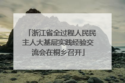 浙江省全过程人民民主人大基层实践经验交流会在桐乡召开