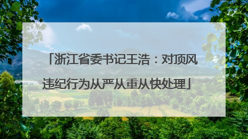 浙江省委书记王浩：对顶风违纪行为从严从重从快处理
