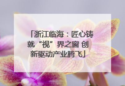 浙江临海：匠心铸就“视”界之窗 创新驱动产业腾飞