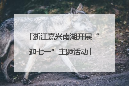 浙江嘉兴南湖开展“迎七一”主题活动
