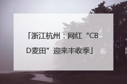 浙江杭州：网红“CBD麦田”迎来丰收季