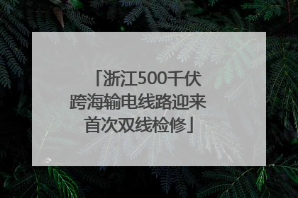 浙江500千伏跨海输电线路迎来首次双线检修
