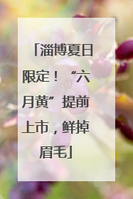 淄博夏日限定！“六月黄”提前上市，鲜掉眉毛