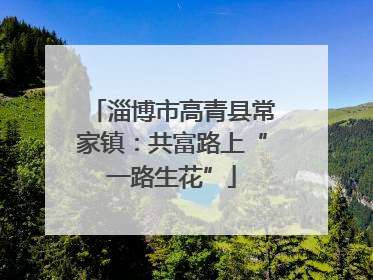 淄博市高青县常家镇：共富路上“一路生花”