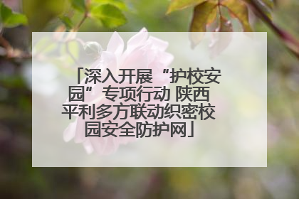 深入开展“护校安园”专项行动 陕西平利多方联动织密校园安全防护网