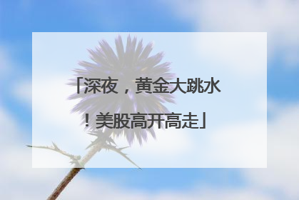深夜，黄金大跳水！美股高开高走