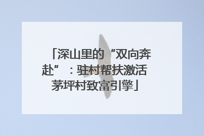 深山里的“双向奔赴”：驻村帮扶激活茅坪村致富引擎