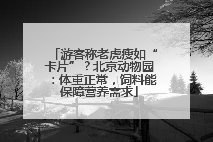 游客称老虎瘦如“卡片”？北京动物园：体重正常，饲料能保障营养需求