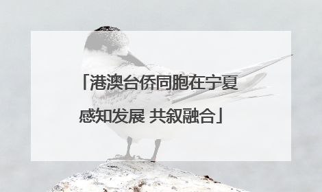 港澳台侨同胞在宁夏感知发展 共叙融合