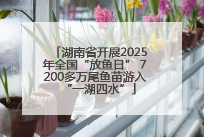 湖南省开展2025年全国“放鱼日” 7200多万尾鱼苗游入“一湖四水”