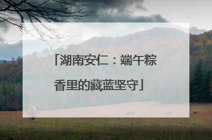 湖南安仁：端午粽香里的藏蓝坚守