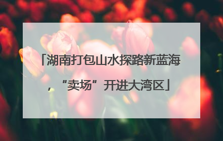 湖南打包山水探路新蓝海，“卖场”开进大湾区