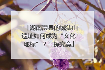 湖南澧县的城头山遗址如何成为“文化地标”？一探究竟