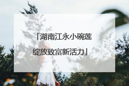 湖南江永小碗莲绽放致富新活力