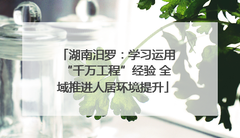湖南汨罗：学习运用“千万工程”经验 全域推进人居环境提升
