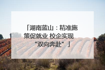 湖南蓝山：精准施策促就业 校企实现“双向奔赴”