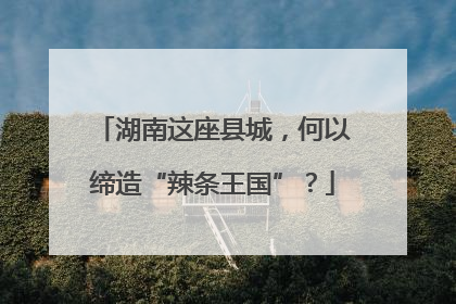 湖南这座县城，何以缔造“辣条王国”？