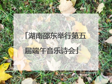 湖南邵东举行第五届端午音乐诗会