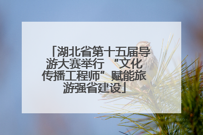 湖北省第十五届导游大赛举行 “文化传播工程师”赋能旅游强省建设
