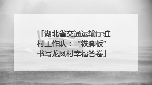 湖北省交通运输厅驻村工作队：“铁脚板”书写龙凤村幸福答卷