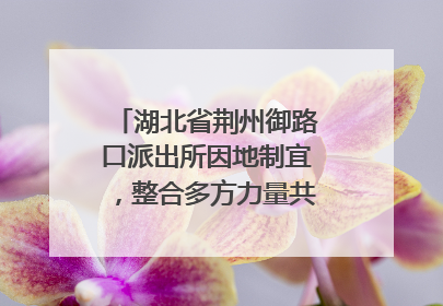 湖北省荆州御路口派出所因地制宜，整合多方力量共建平安校园