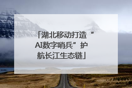 湖北移动打造“AI数字哨兵”护航长江生态链
