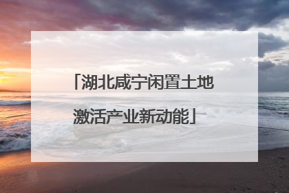 湖北咸宁闲置土地激活产业新动能