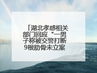 湖北孝感相关部门回应“一男子称被交警打断9根肋骨未立案”：已成立联合专班开展工作