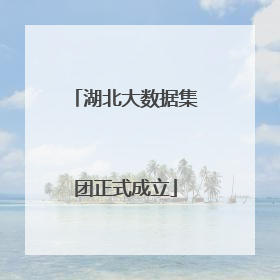 湖北大数据集团正式成立