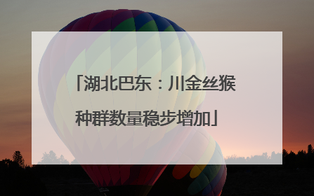 湖北巴东：川金丝猴种群数量稳步增加