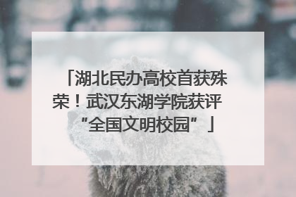 湖北民办高校首获殊荣！武汉东湖学院获评“全国文明校园”