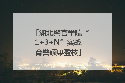 湖北警官学院“1+3+N”实战育警硕果盈枝