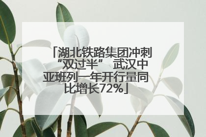 湖北铁路集团冲刺“双过半” 武汉中亚班列一年开行量同比增长72%