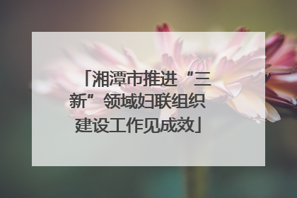 湘潭市推进“三新”领域妇联组织建设工作见成效