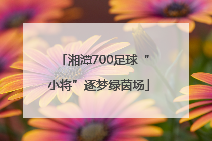 湘潭700足球“小将”逐梦绿茵场
