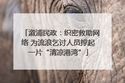 溆浦民政：织密救助网络 为流浪乞讨人员撑起一片“清凉港湾”