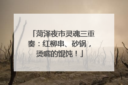 菏泽夜市灵魂三重奏：红柳串、砂锅，烫嘴的馄饨！