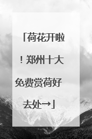 荷花开啦！郑州十大免费赏荷好去处→