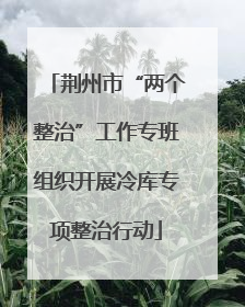 荆州市“两个整治”工作专班组织开展冷库专项整治行动