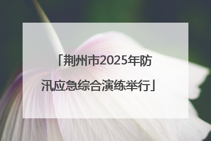 荆州市2025年防汛应急综合演练举行
