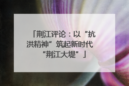 荆江评论：以“抗洪精神”筑起新时代“荆江大堤”