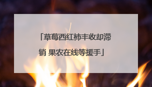 草莓西红柿丰收却滞销 果农在线等援手
