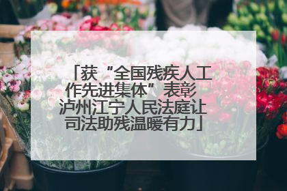 获“全国残疾人工作先进集体”表彰 泸州江宁人民法庭让司法助残温暖有力