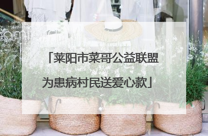 莱阳市菜哥公益联盟为患病村民送爱心款
